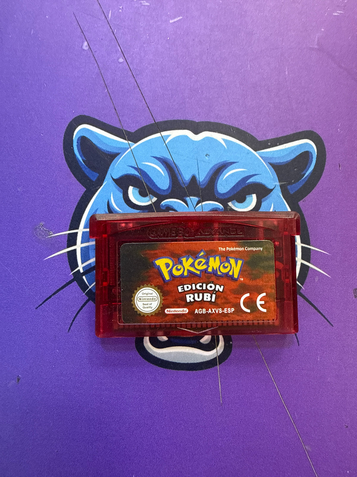 Pokemon Ruby