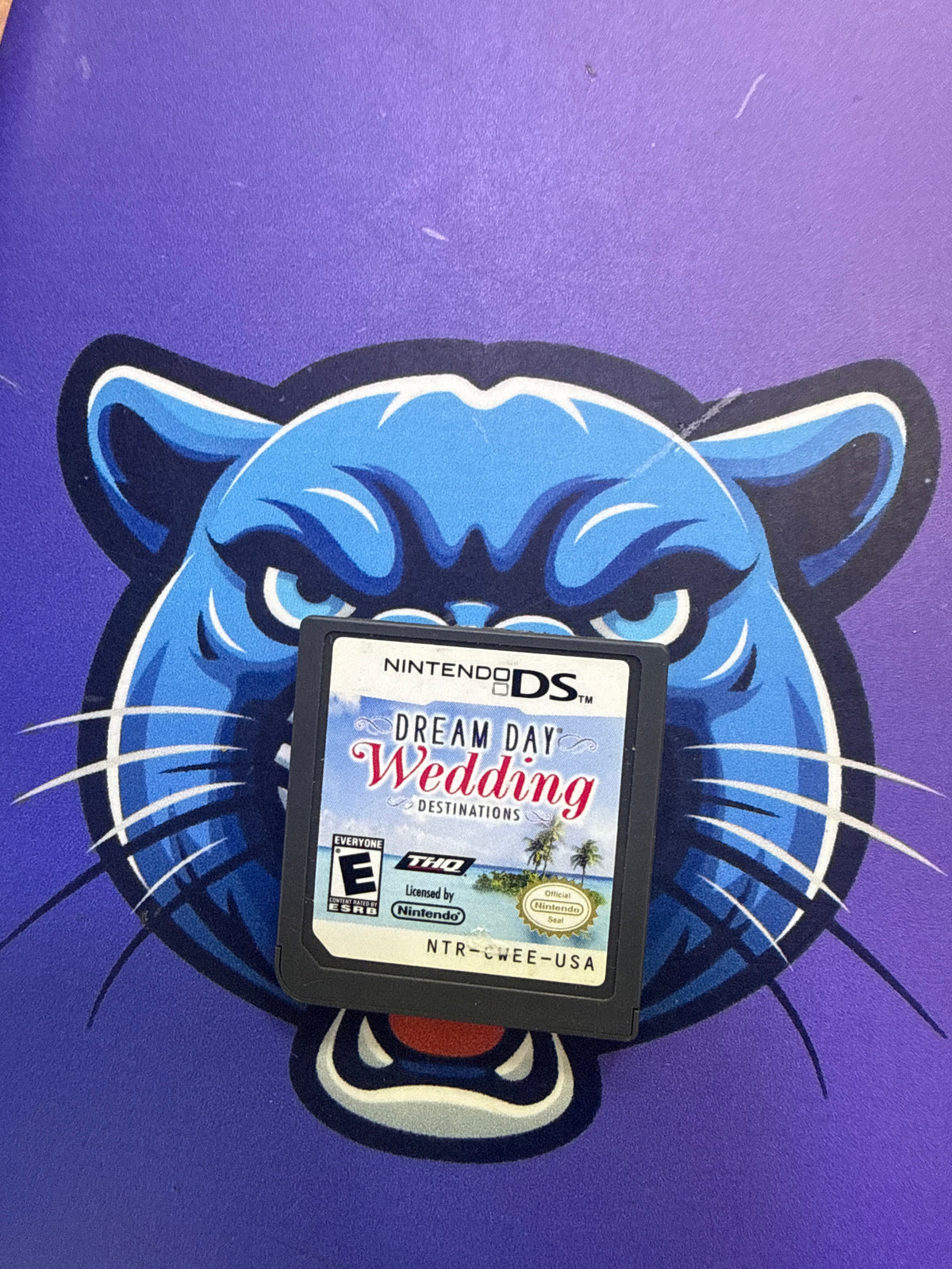 Dream Day Wedding DS