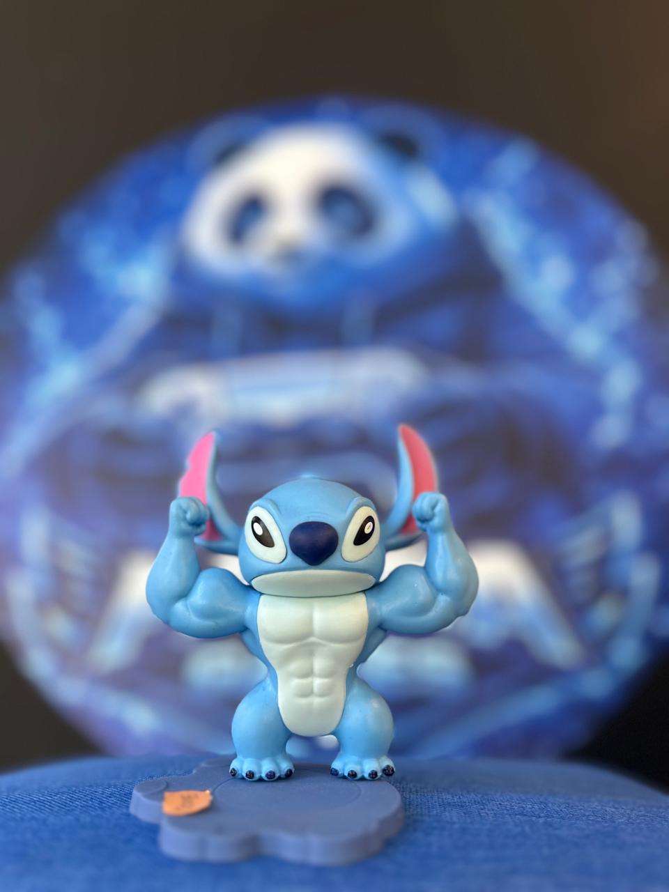 Stich (musculoso)