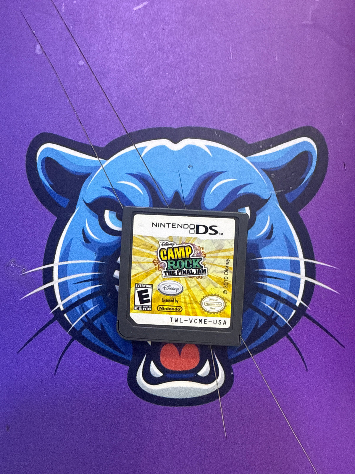 Camp Rock DS