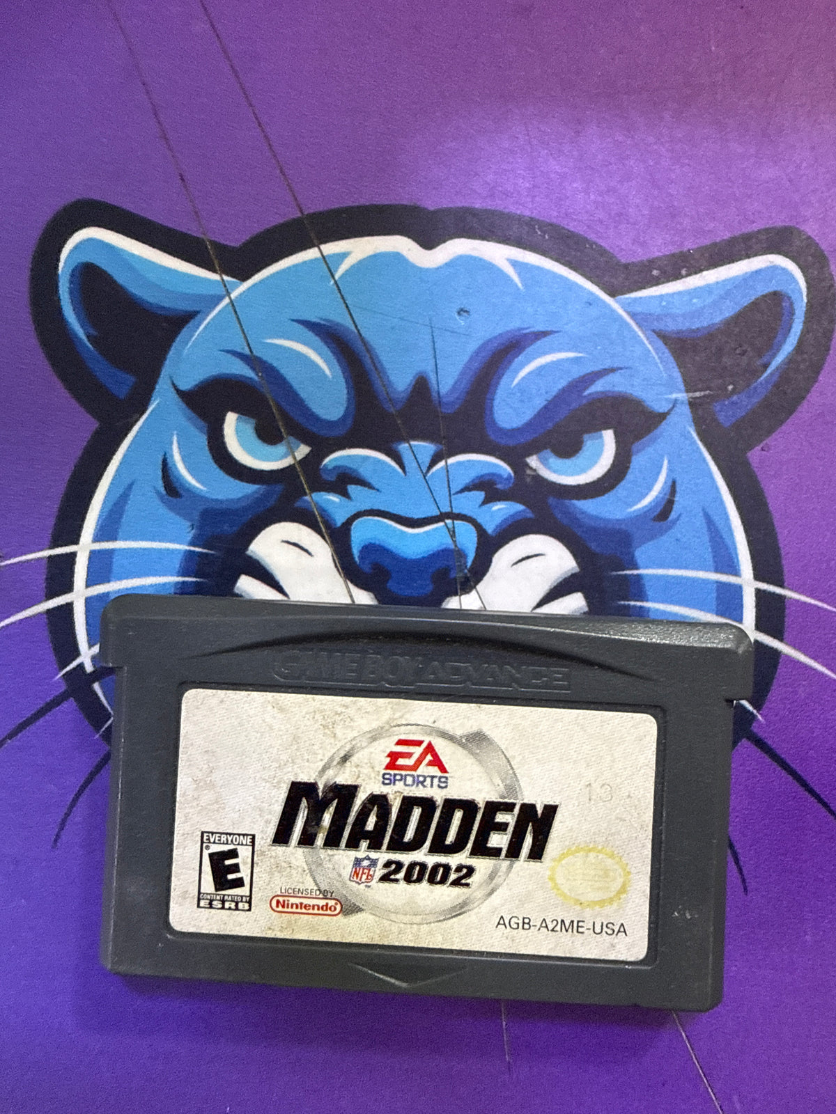 Madden 2002