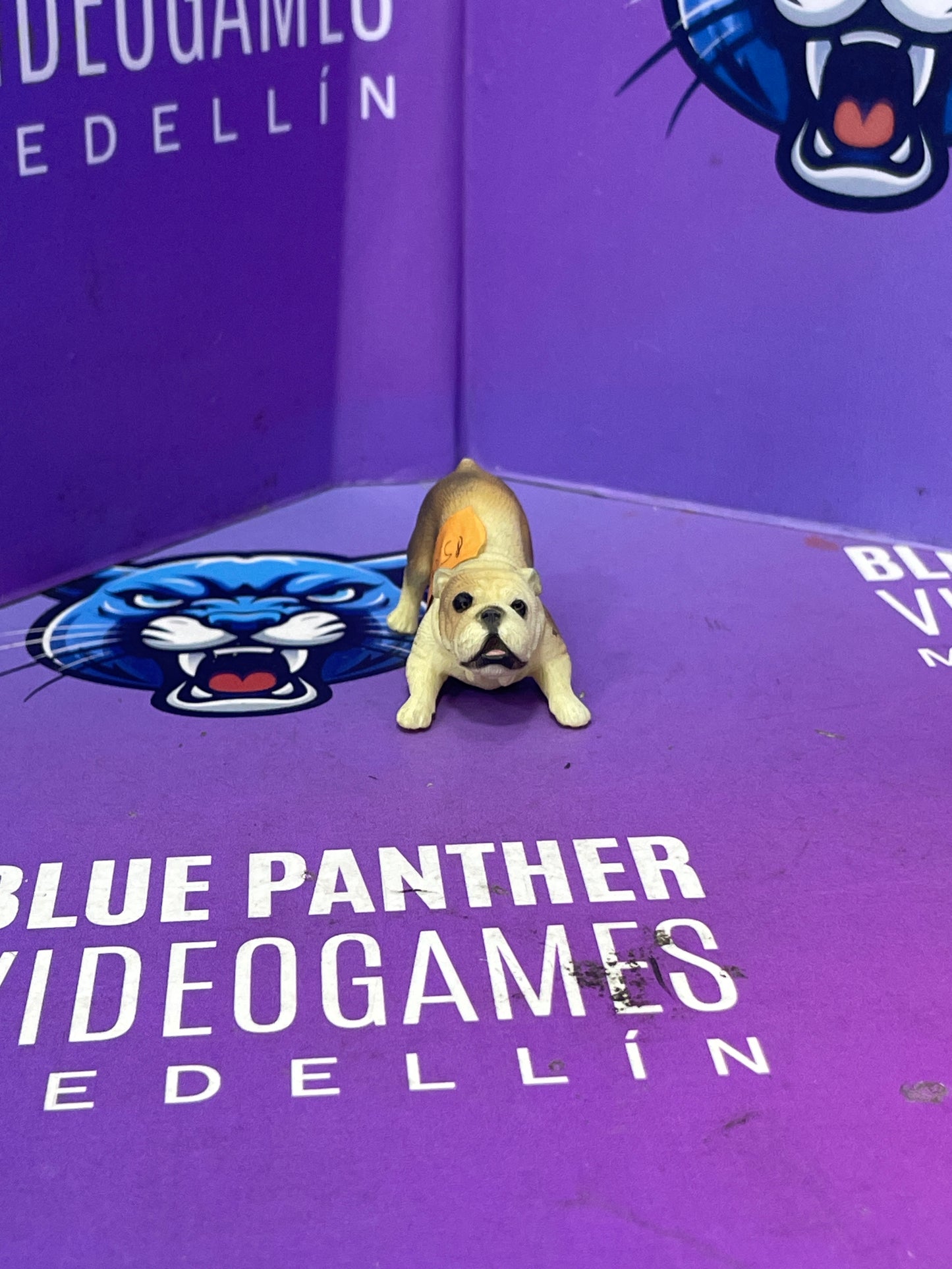 Bulldog
