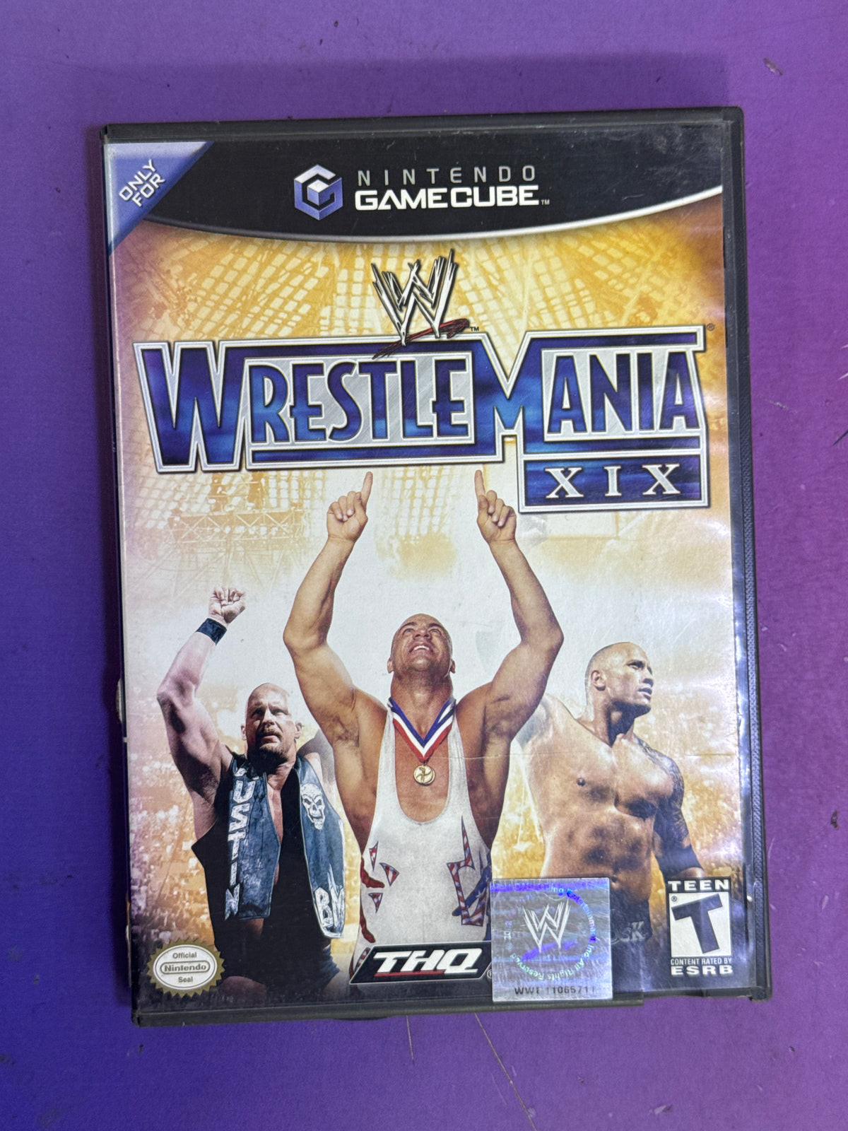 Wrestle manía - game cube