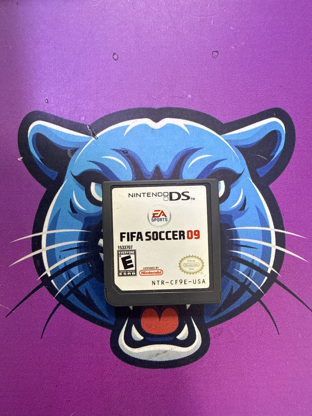 Fifa Soccer 09 DS