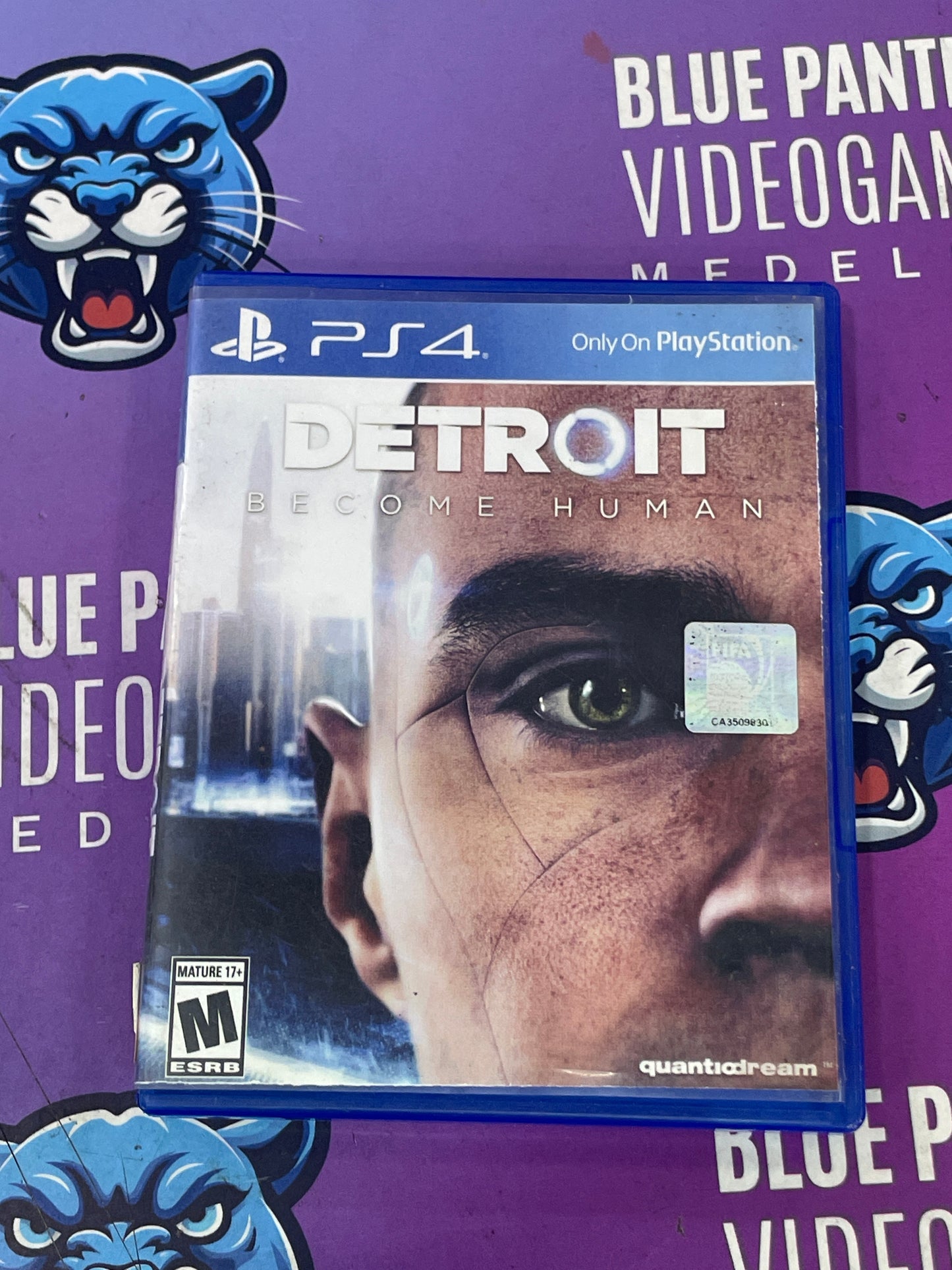 Detroit Become Human Usado