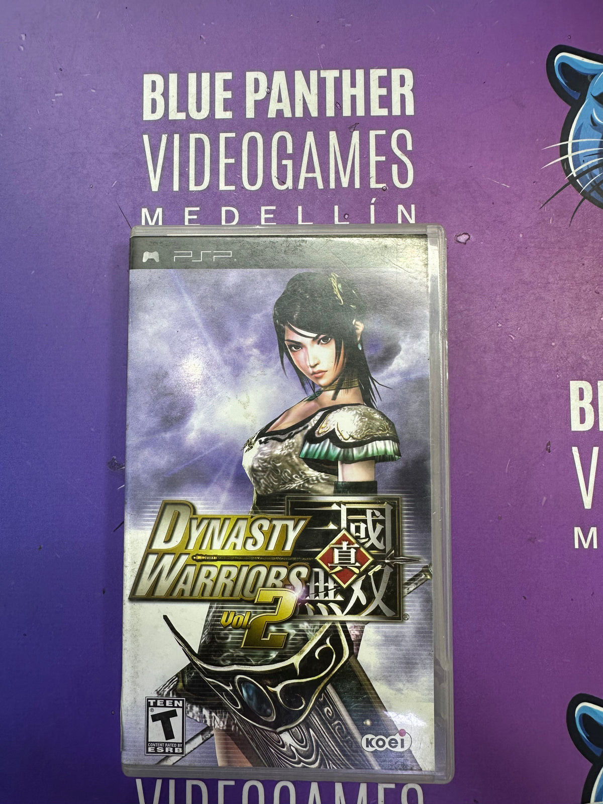 Dynasty warriors 2 psp