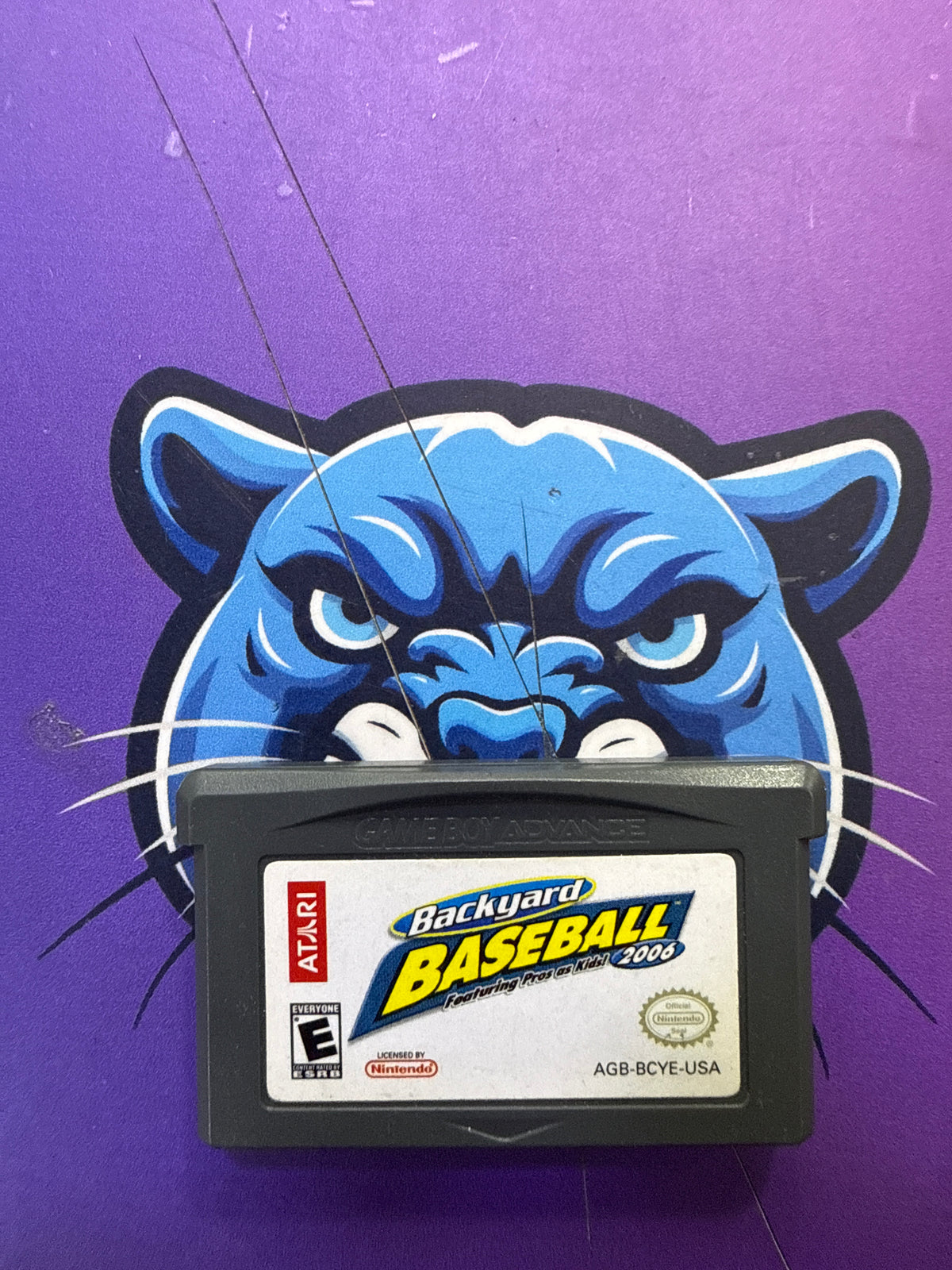 Backyard Baseball