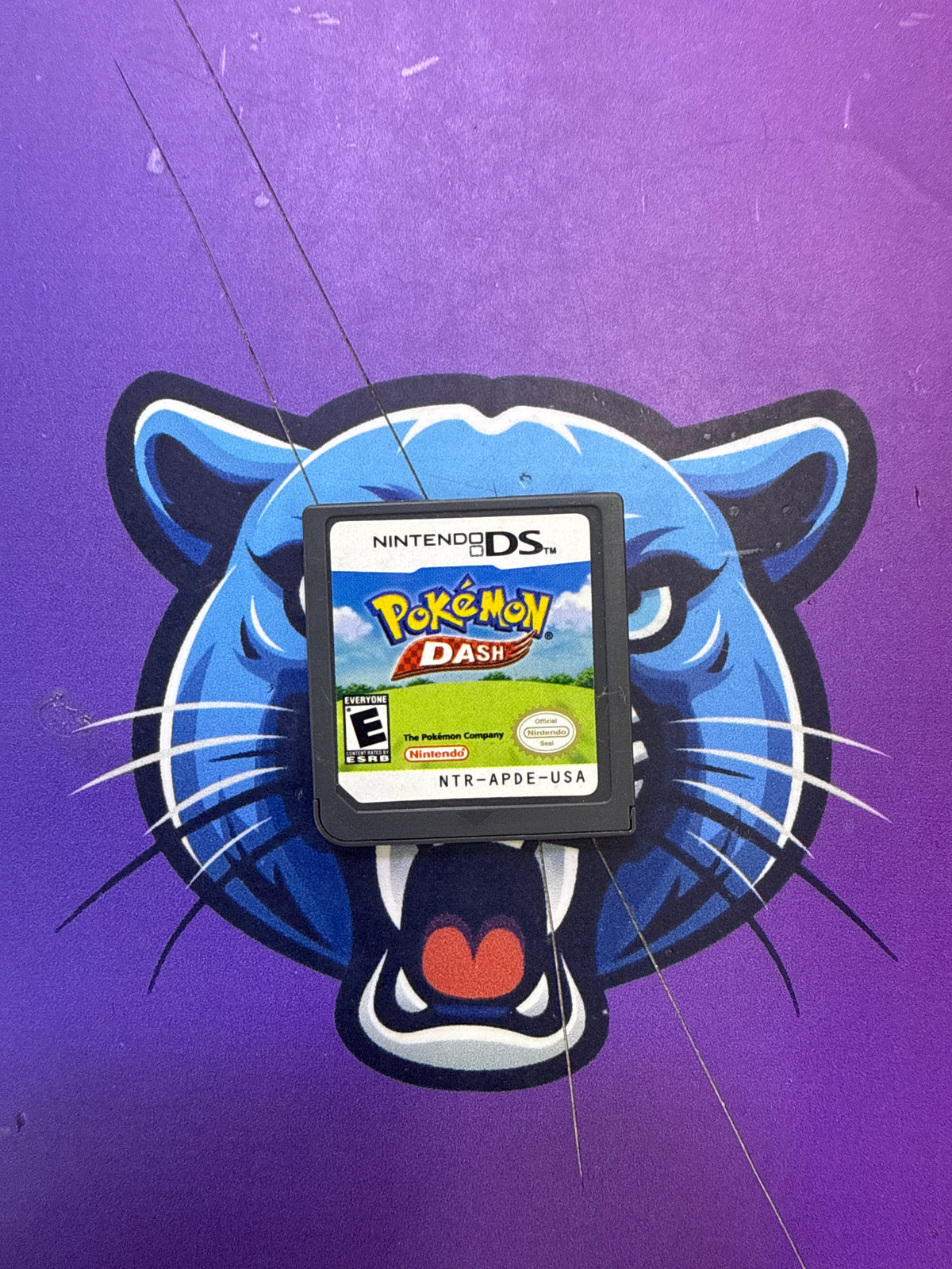 Pokemon Dash