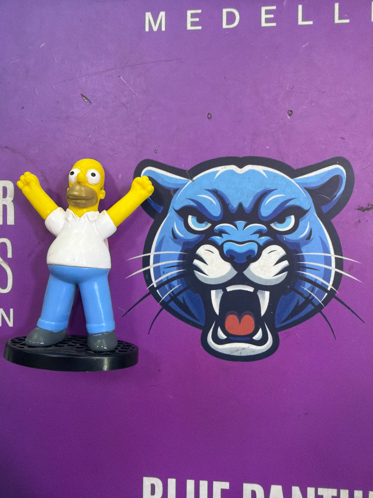 Homero the simpsons