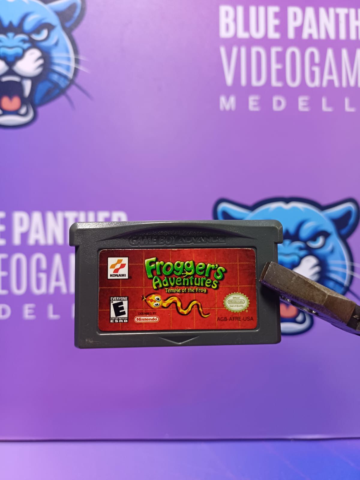 Froggers Adventures - Game Boy Advance