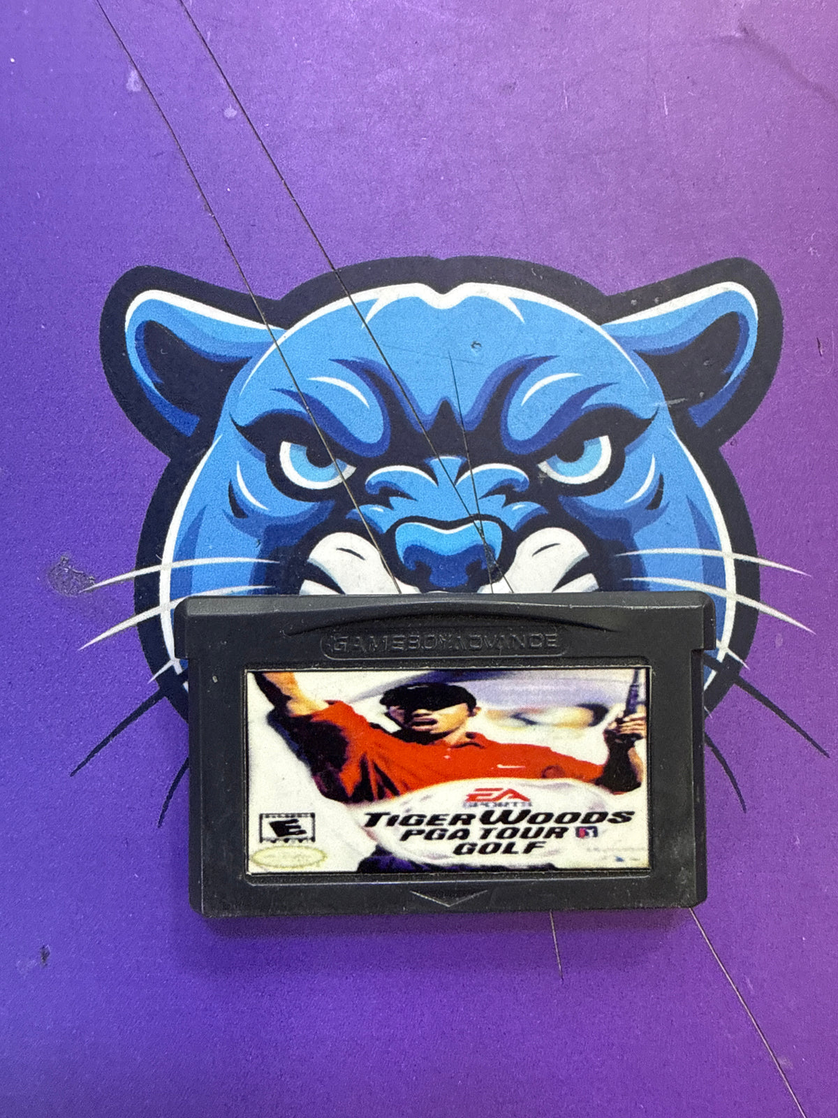 Tiger Woods Golf