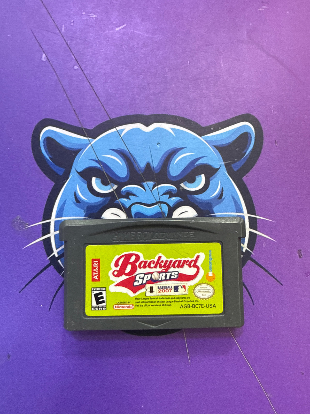 Backyared Sports