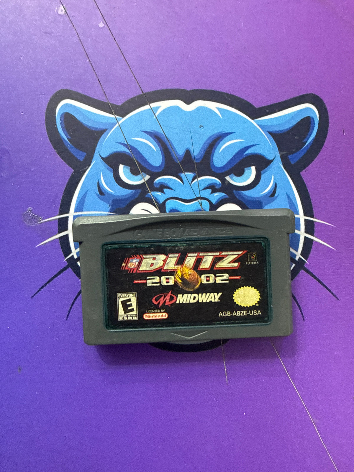 Blitz 2002