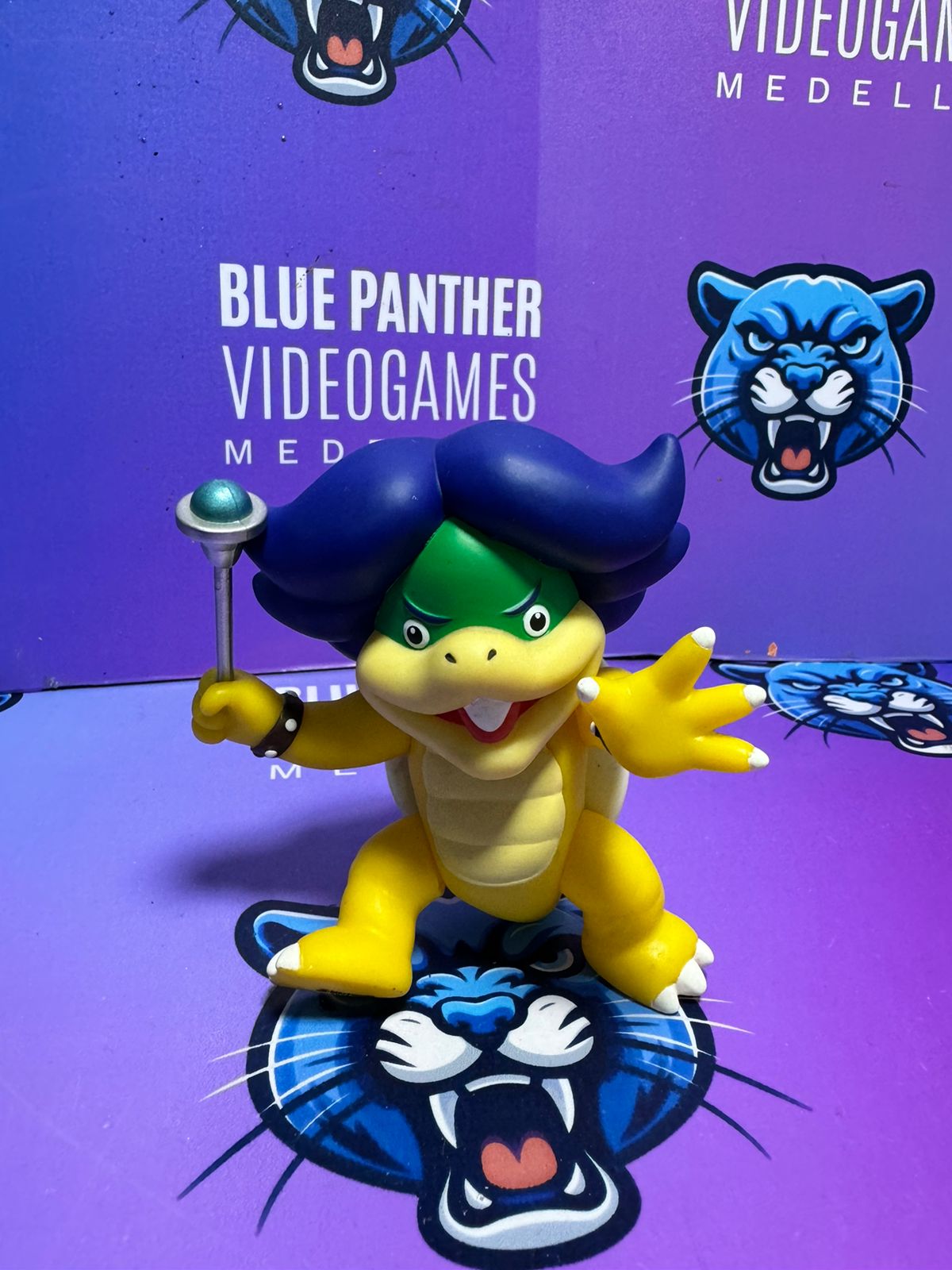 Koopa pelo azul