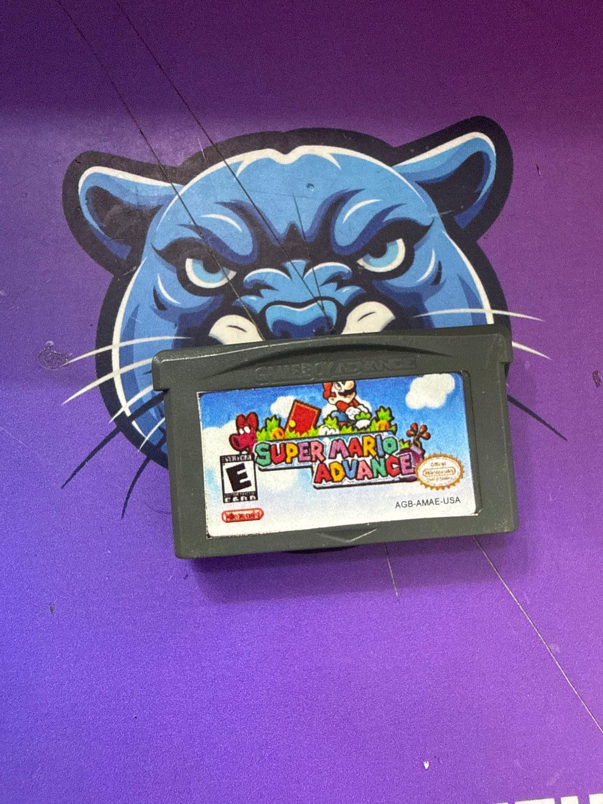Super Mario Advanced