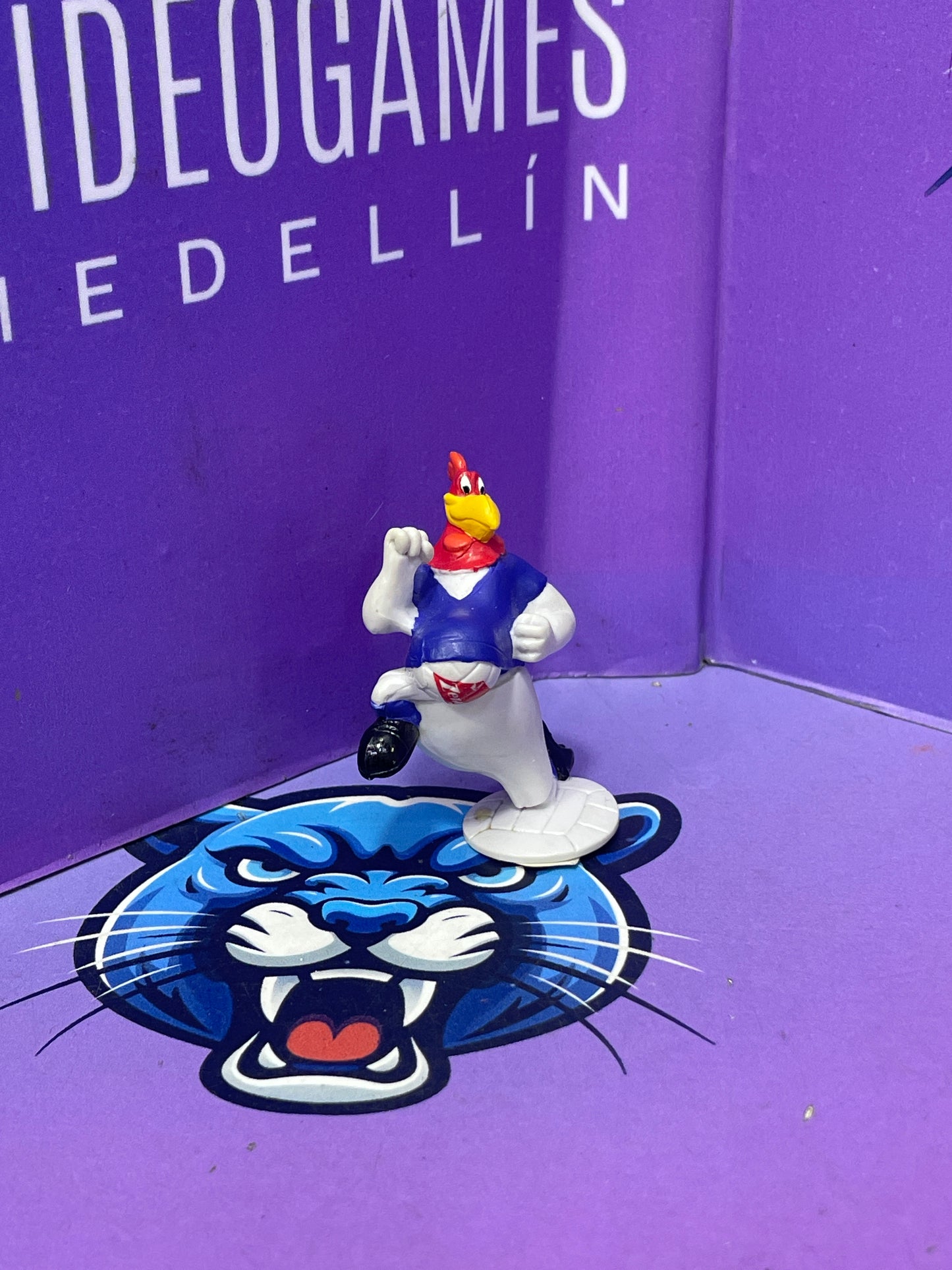 Gallo claudio