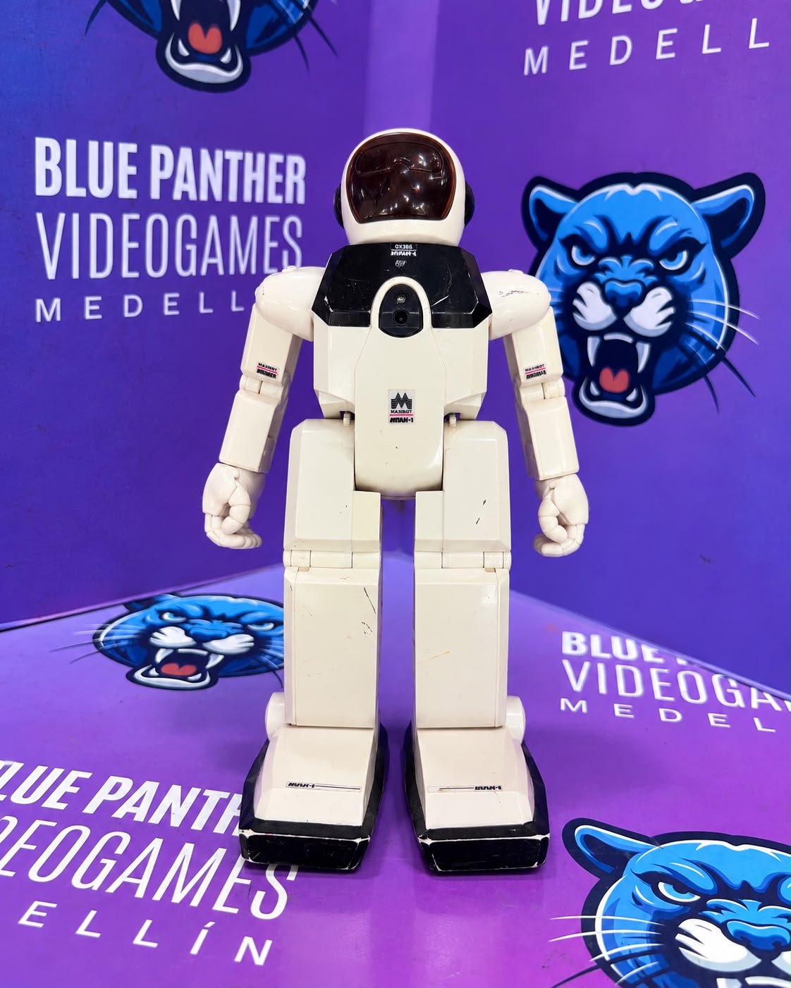 robot humanoide interactivo