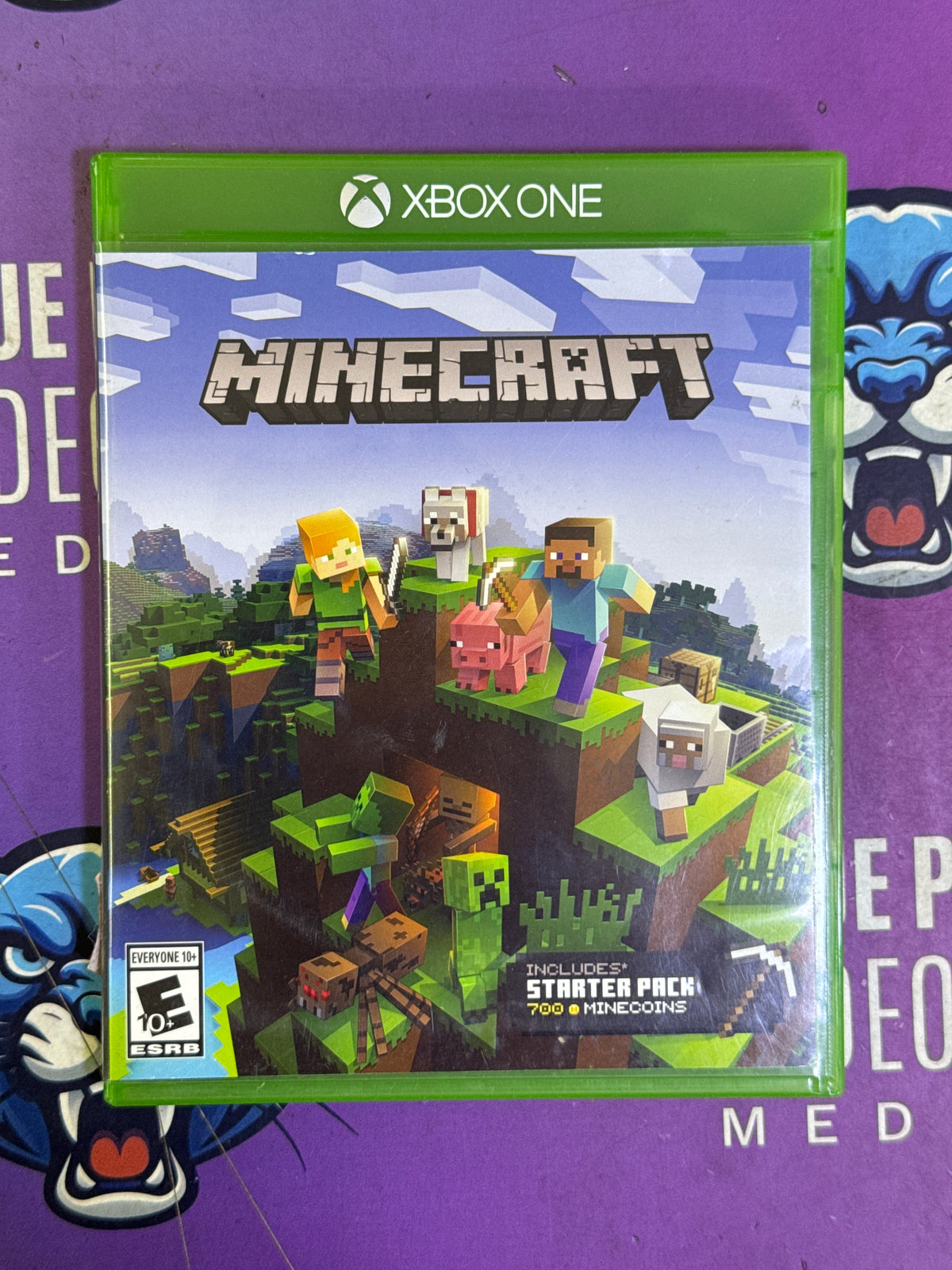 Minecraft