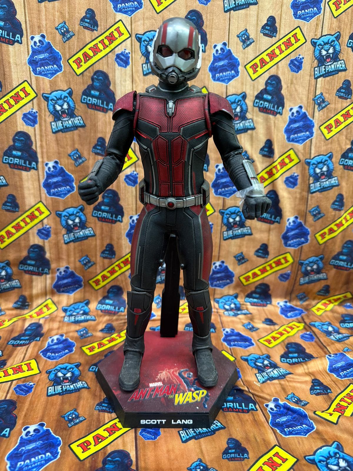Hot Toys Ant-Man – Ant-Man and The Wasp – 1/6 (MMS497)