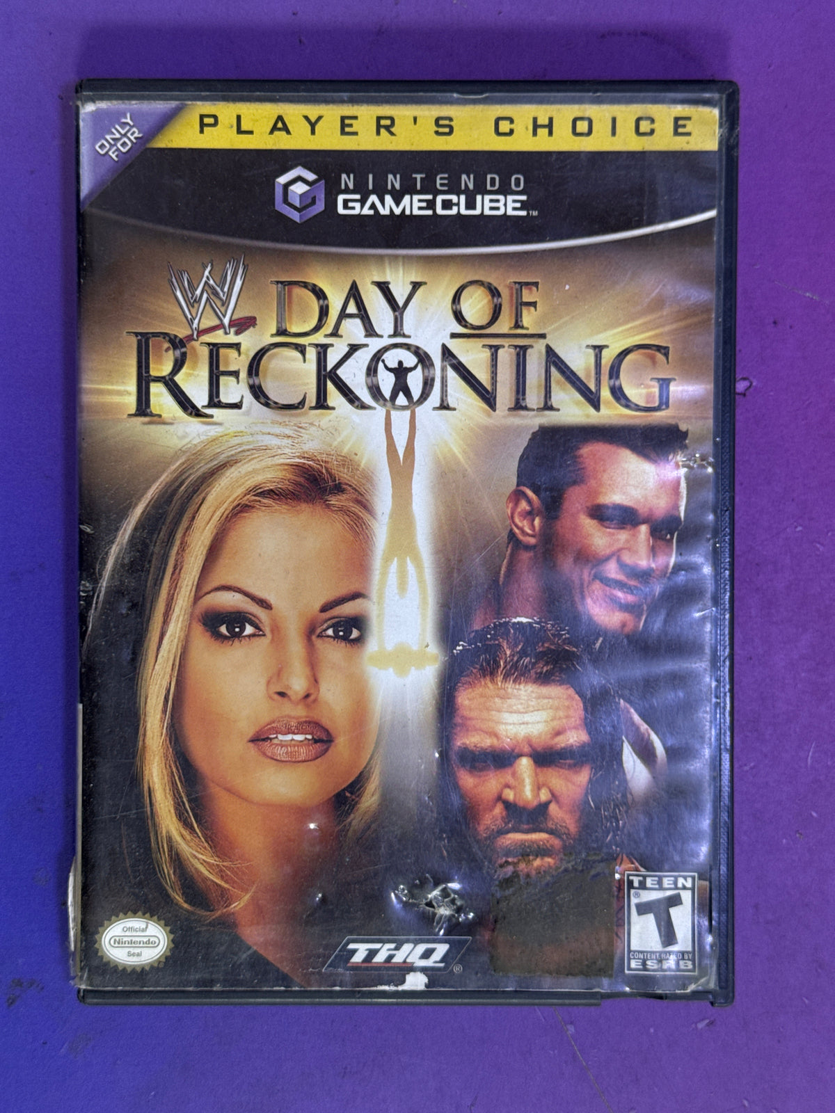 Day of reckoning - game cube