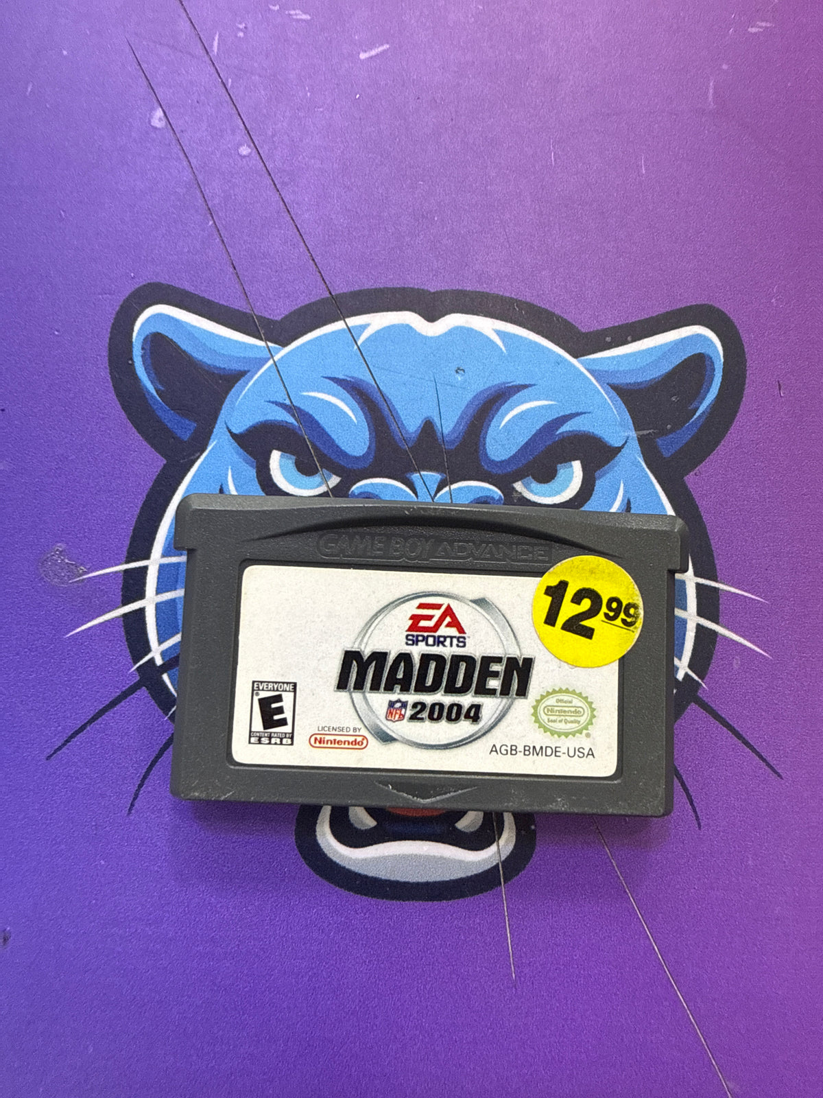 Madden 2004
