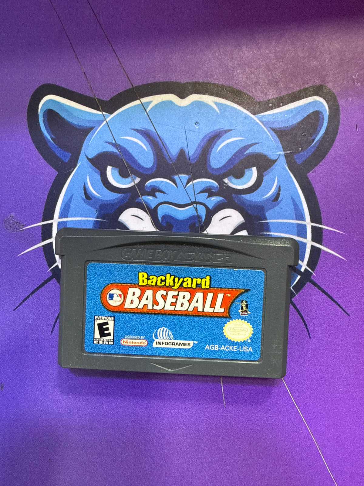 Backyard Baseball