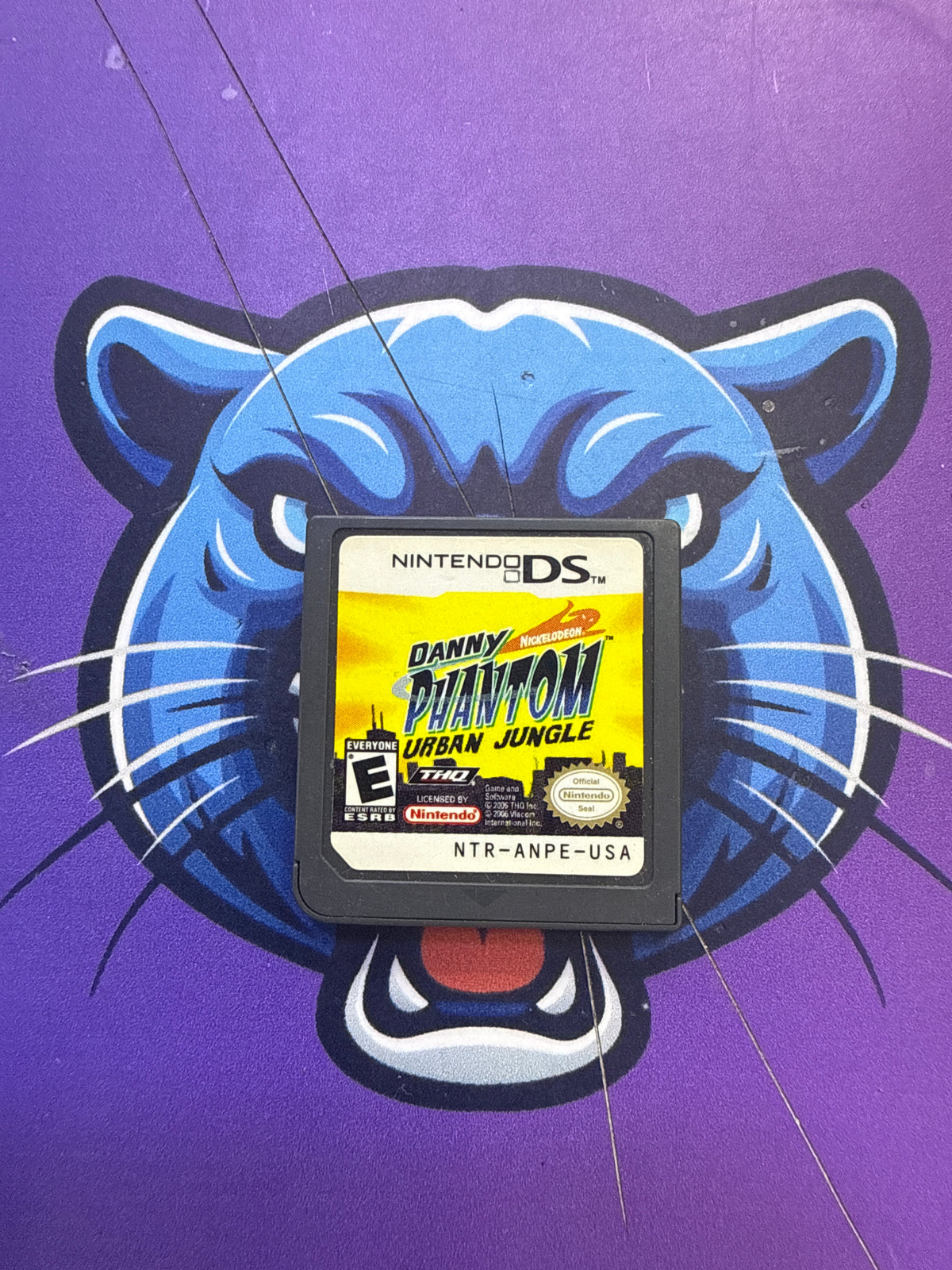 Danny Phantom DS
