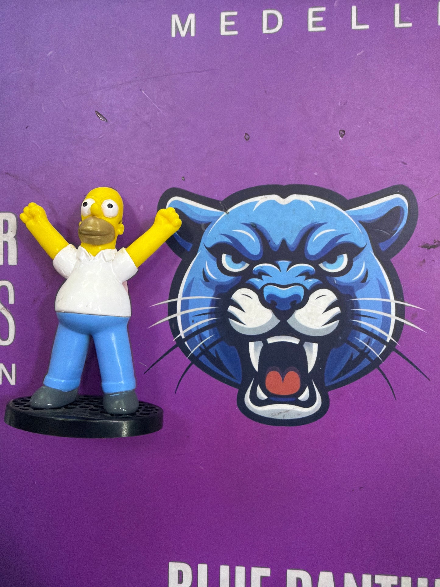 Homero the simpsons