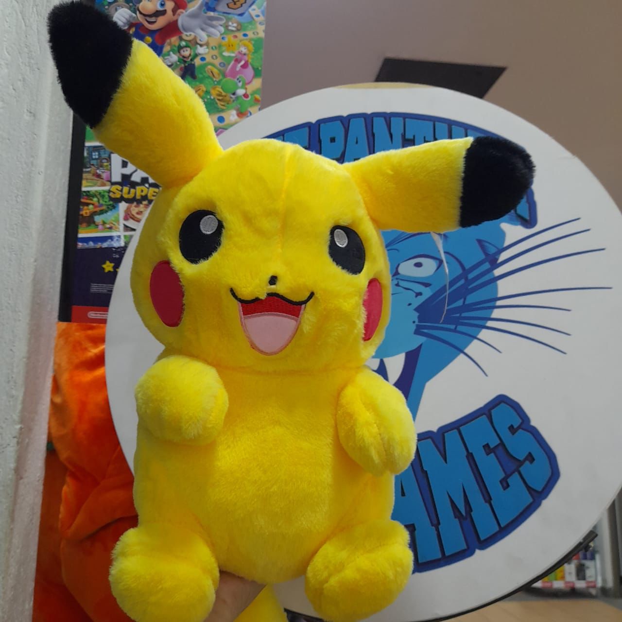 Pokemon Pikachu-Peludo