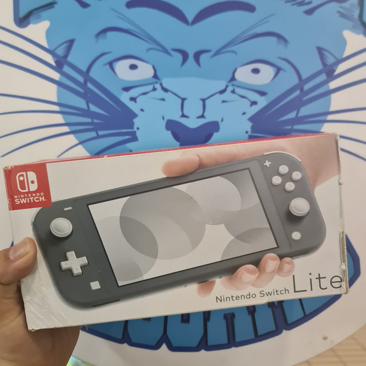 Switch lite