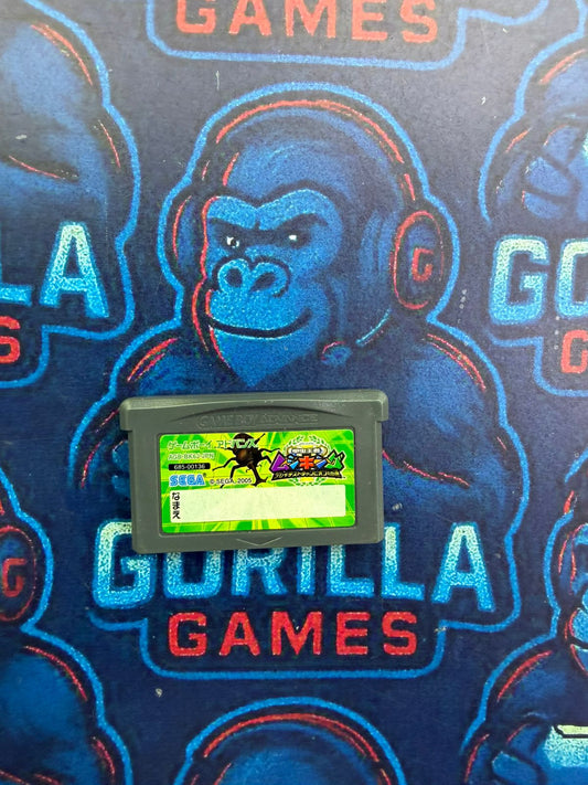 Pelea de escarabajos japo