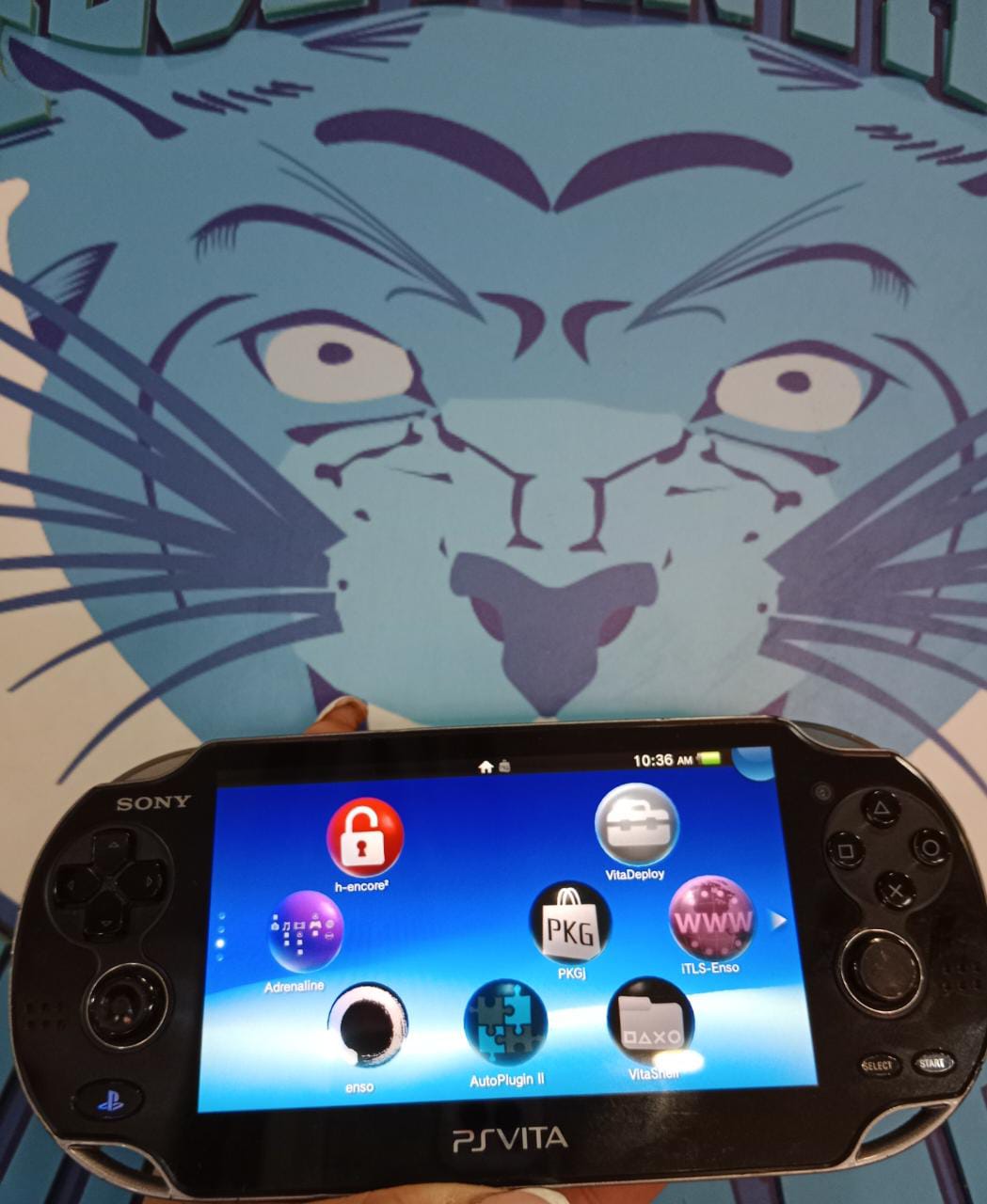 Psp Vita Programado+Con cargador Y Sistema para descargar juegos