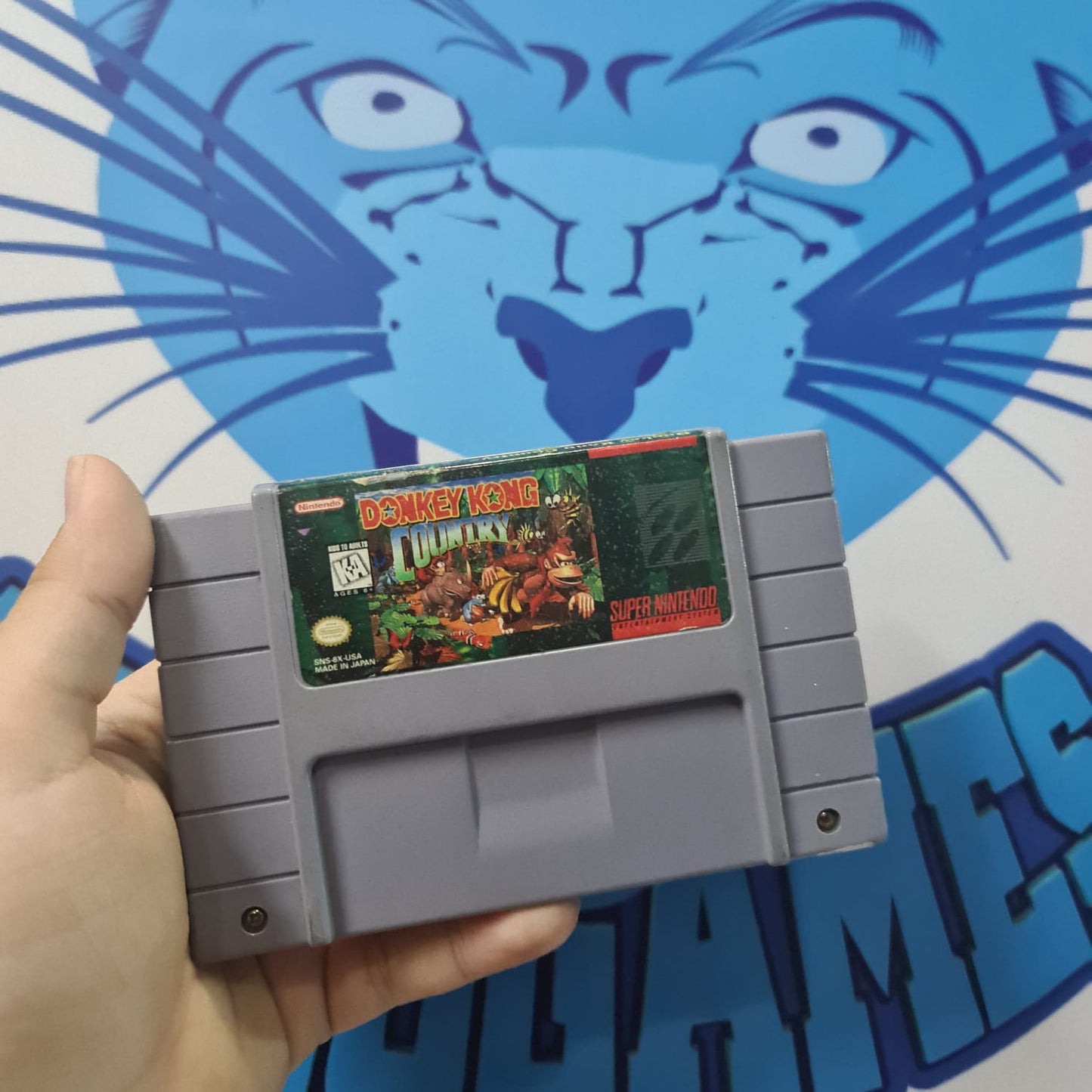 Donkey Kong - Super Nintendo