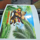 Skins Nintendo wii