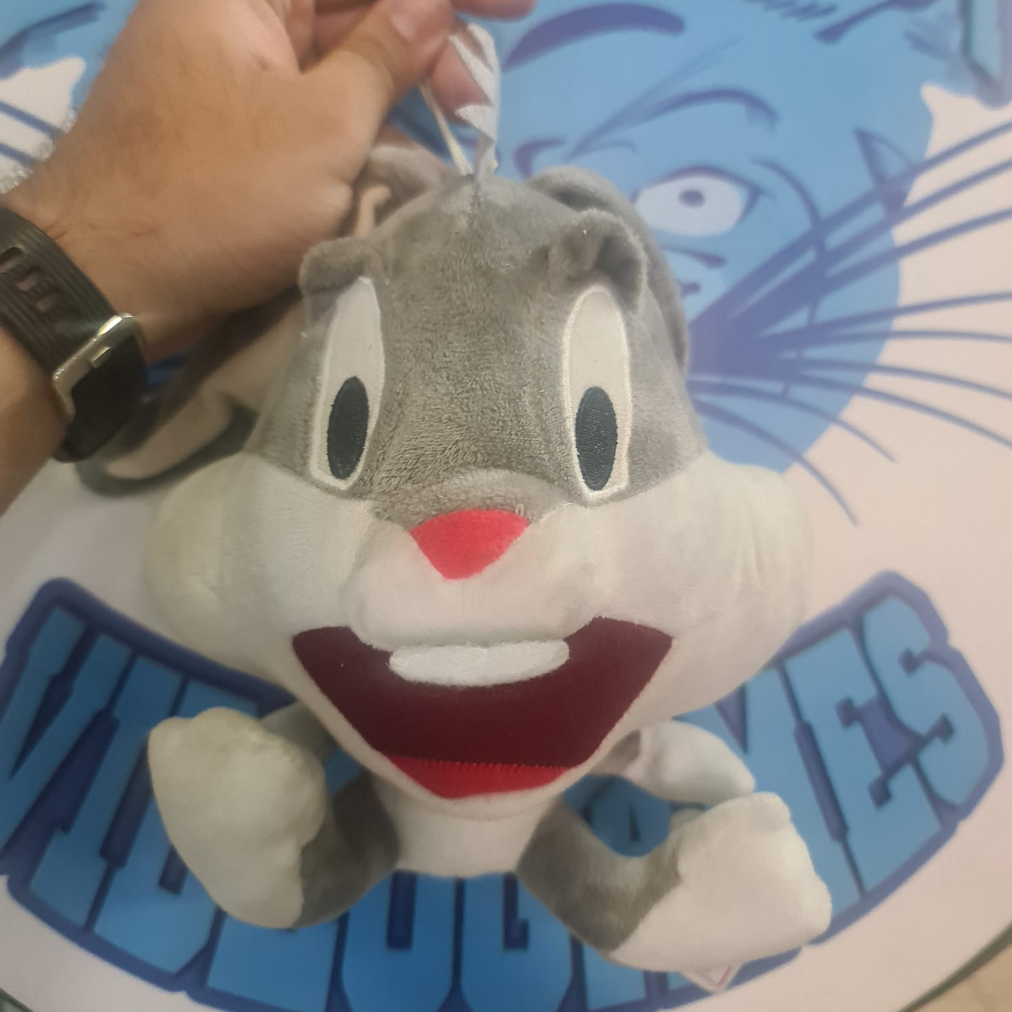 Peluche Looney toones